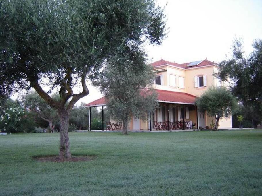 Phyllida Guest House - A2 Zacharo Esterno foto