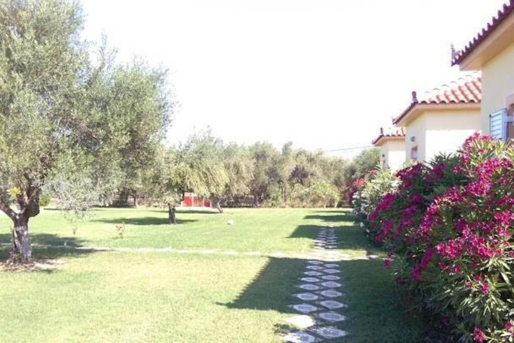 Phyllida Guest House - A2 Zacharo Esterno foto