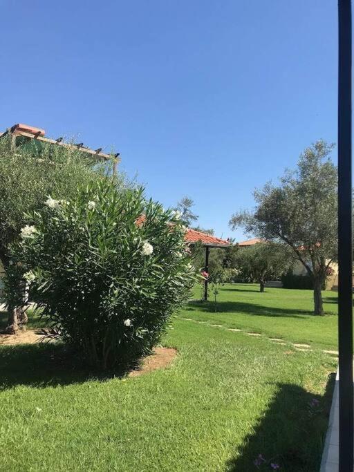 Phyllida Guest House - A2 Zacharo Esterno foto